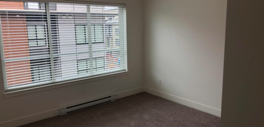 Large 1 Bed/Den Condo in Langley City